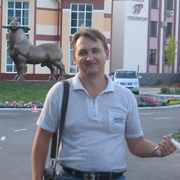 �����, �������, 53 ����