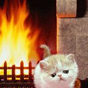 ���� ����, ��������, 22 ���� - ��������� 21 ������� 2013 � ������ ���� ����������