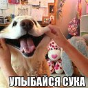 ���� ���������, ����������� - ��������� 23 ������� 2013 � ������ ���� ����������