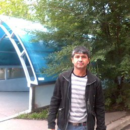 Gulommamad, ���������, 54 ����