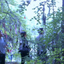 Duc, �������, 35 ���