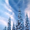 ���� �����, ����, 42 ���� - ��������� 30 ������ 2013 � ������ ������ ��������