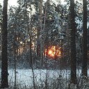 ���� ������, ����������, 55 ��� - ��������� 22 ������� 2013 � ������ ������ � "������" ������� 2013�