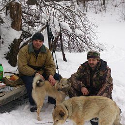 ���� ����, ������ ��������, 53 ���� - ��������� 25 ������� 2014