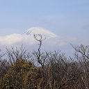 ���� ������, �����-���������, 61 ��� - ��������� 31 ������� 2013 � ������ ������� ������ 2013�