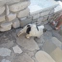 ���� �������, ������, 72 ���� - ��������� 10 ������ 2014 � ������ ���� ����������