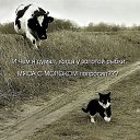 ���� K�ktus :), ������ - ��������� 2 ������� 2013 � ������ ������� ���...�