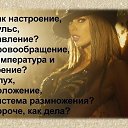 ���� �����, ����������� - ��������� 28 ������ 2014 � ������ ������ ��������