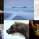 ���� �������, ������, 70 ��� - ��������� 16 ������ 2014