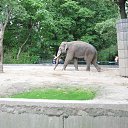 ���� ��������, ������� - ��������� 19 ������� 2013 � ������ ����������� �������