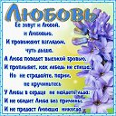 ���� ������, ������, 46 ��� - ��������� 31 ������ 2014 � ������ ���� �������� ���������.�