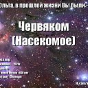 ���� ���� ������������!!! - �����! ������� �� ������!!!, ��������, 38 ��� - ��������� 25 ������� 2014 � ������ ������ ��������