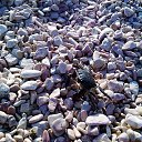 ���� ������, ���� - ��������� 15 �������� 2013 � ������ ���� ����������