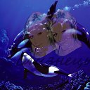 ���� Natalya, ����������� ����, 44 ���� - ��������� 27 ������ 2014 � ������ ���� ����������