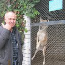   @, , 61  -  26  2013    