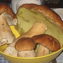 ���� �������, �����-��������� - ��������� 15 ������� 2013 � ������ ������� �����������
