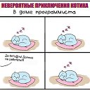 ���� ������, �����������, 41 ��� - ��������� 13 ����� 2014 � ������ ������ ��������