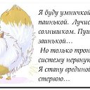 ���� ��������, �������, 49 ��� - ��������� 10 ������� 2014 � ������ ���� ����������