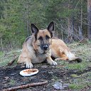 ���� �������, ������������, 48 ��� - ��������� 11 �������� 2013 � ������ ���� ����������