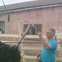 ���� ��������� � ����������, ������� �� ������, ������, 55 ��� - ��������� 7 ������ 2013