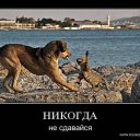  , -, 48  -  12  2014     