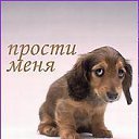 ���� ������, �������, 53 ���� - ��������� 21 ������� 2013 � ������ ���� ������.�
