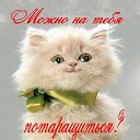 ���� �����, ������� - ��������� 15 ������ 2014 � ������ ���� ����������