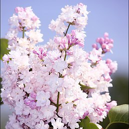 ���� ������, ����-�����������, 46 ��� - ��������� 6 ������ 2014