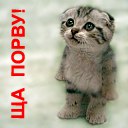 ���� �����, �������, 50 ��� - ��������� 24 ������� 2013 � ������ ���� ����������