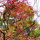 ���� ������, �����-���������, 61 ��� - ��������� 10 ����� 2014 � ������ ��������� ������, ������ 2012�