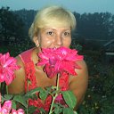 ���� ������ ��������, �����������, 56 ��� - ��������� 22 ������� 2013 � ������ ���� ����������