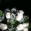 ���� ���������, ���������, 39 ��� - ��������� 9 ����� 2014 � ������ ���� ����������