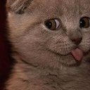 ���� ���, ������������, 30 ��� - ��������� 2 �������� 2013 � ������ ���� ����������