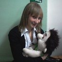 ���� ���������, ���������, 33 ���� - ��������� 24 �������� 2013 � ������ ���� ����������