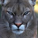 ���� ������, ���������� �����, 46 ��� - ��������� 14 ������ 2014 � ������ ���� ����������