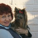 ���� �����, ���� - ��������� 10 ������ 2014 � ������ ���� ����������