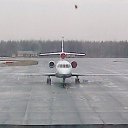 ���� ������� �������, �����, 44 ���� - ��������� 10 ������ 2013