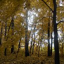 ���� �������, �������� - ��������� 14 ������� 2013 � ������ ���� ����������