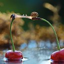 ��� ������)) �� ������� ������ ��������