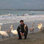 �.�., 64 ����, �������