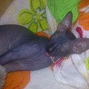  2 (), , 39  -  28  2013    