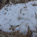 ���� Svann, ���������, 71 ��� - ��������� 6 ������� 2013 � ������ ������. ��. �������.�