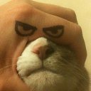 ���� ����, ������ - ��������� 4 �������� 2013 � ������ ���� ����������