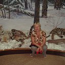 ���� ���������, �����������, 63 ���� - ��������� 11 ������ 2013 � ������ ���� ����������