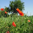 ���� ����, �����, 38 ��� - ��������� 16 ������� 2013 � ������ ���� ����������