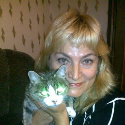 ���� ������, ��������, 62 ���� - ��������� 11 ������ 2013