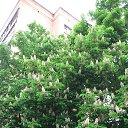 ���� ���������, ���������������, 61 ��� - ��������� 28 ������ 2014 � ������ ������