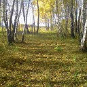 ���� �������, �����������, 32 ���� - ��������� 31 ������� 2013 � ������ ���� ����������