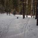 ����� �������� �� ������� ������� ���2014�