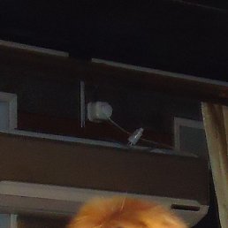 ���� ������, ������� - ��������� 26 ������� 2013